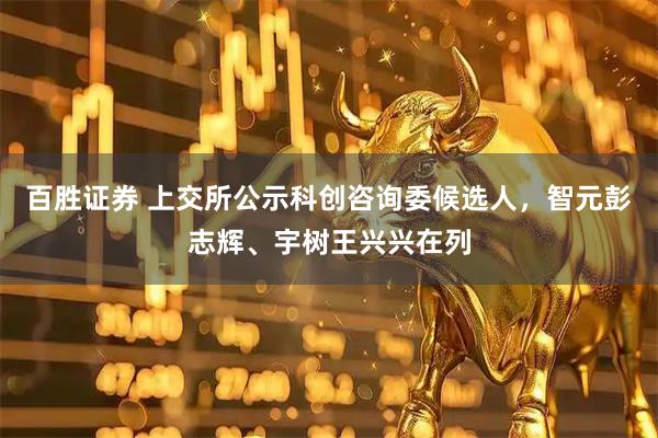 百胜证券 上交所公示科创咨询委候选人，智元彭志辉、宇树王兴兴在列
