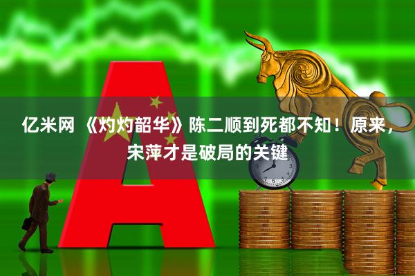 亿米网 《灼灼韶华》陈二顺到死都不知！原来，宋萍才是破局的关键