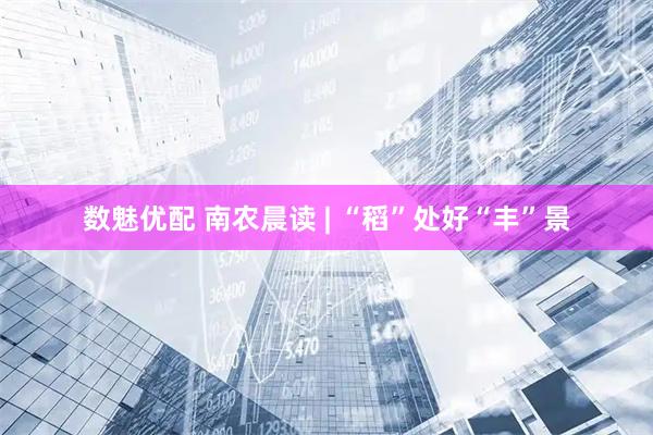 数魅优配 南农晨读 | “稻”处好“丰”景