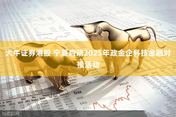 大牛证券港股 宁夏启动2025年政金企科技金融对接活动