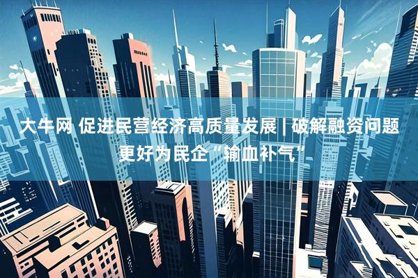 大牛网 促进民营经济高质量发展 | 破解融资问题 更好为民企“输血补气”