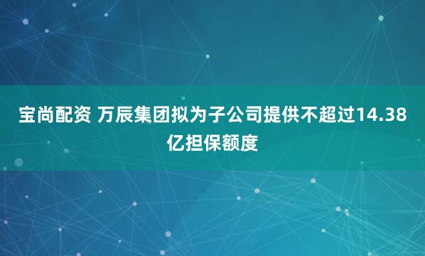 宝尚配资 万辰集团拟为子公司提供不超过14.38亿担保额度