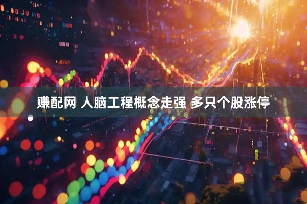赚配网 人脑工程概念走强 多只个股涨停